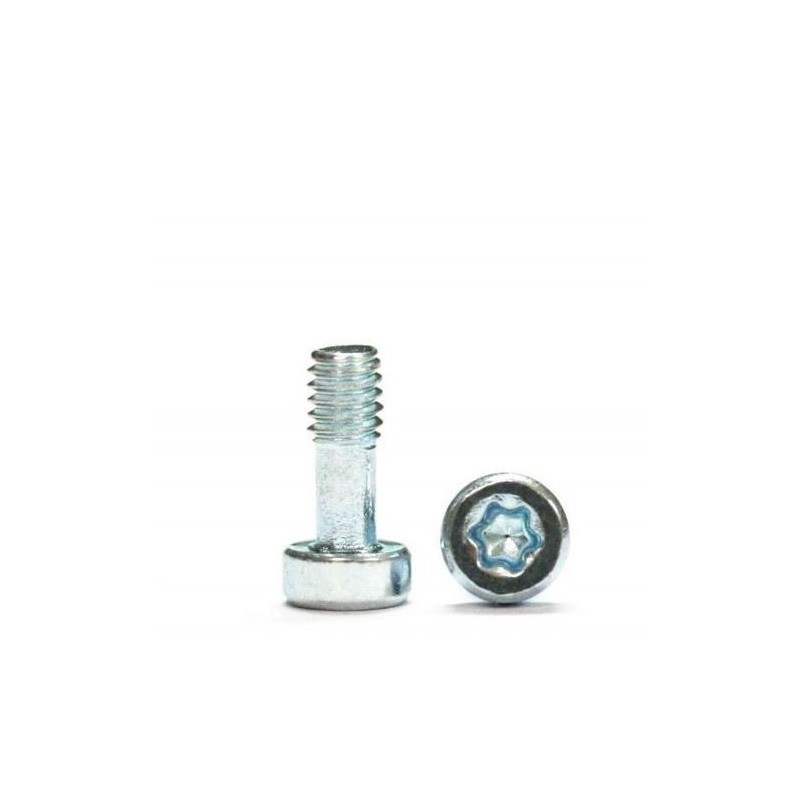 Tornillos carrocería Torx T6 2.1 x 5 mm